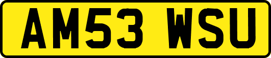 AM53WSU