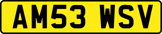 AM53WSV