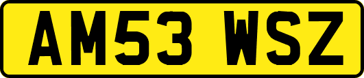 AM53WSZ