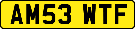 AM53WTF