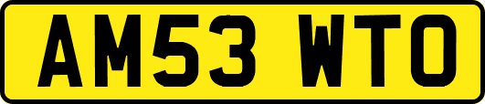 AM53WTO