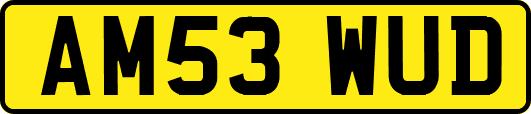 AM53WUD