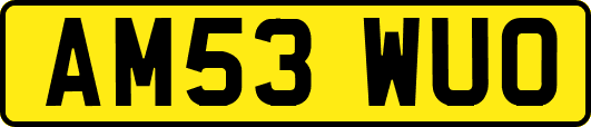 AM53WUO