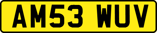 AM53WUV