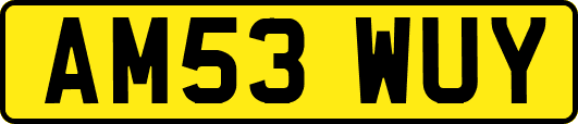 AM53WUY
