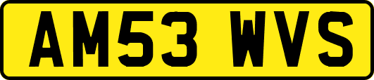 AM53WVS