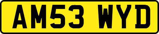 AM53WYD