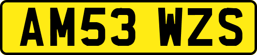 AM53WZS