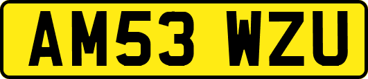 AM53WZU