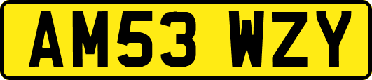 AM53WZY