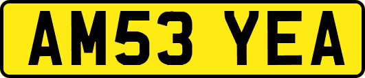 AM53YEA