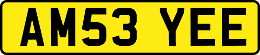 AM53YEE