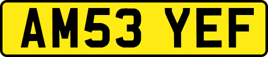 AM53YEF