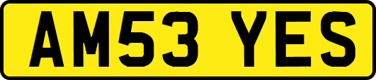 AM53YES