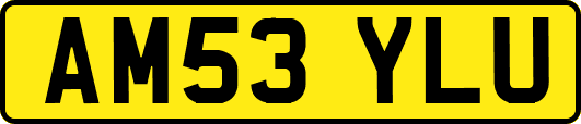 AM53YLU