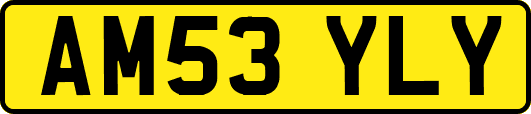 AM53YLY