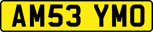 AM53YMO