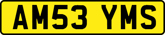 AM53YMS