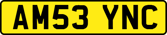 AM53YNC
