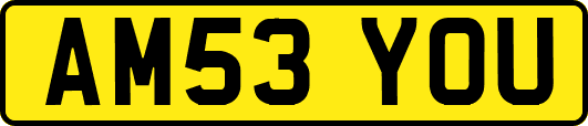 AM53YOU
