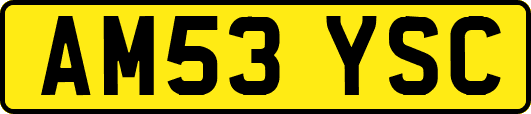 AM53YSC