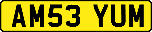 AM53YUM