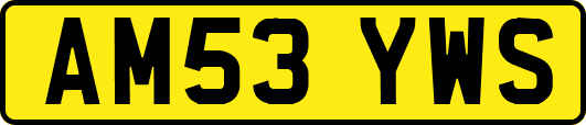 AM53YWS