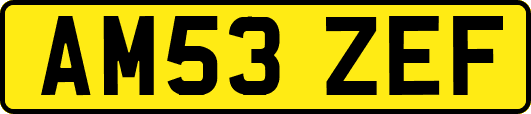 AM53ZEF