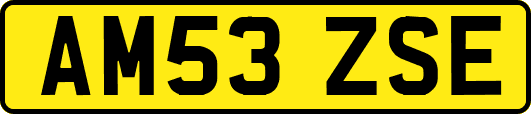 AM53ZSE