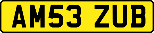 AM53ZUB