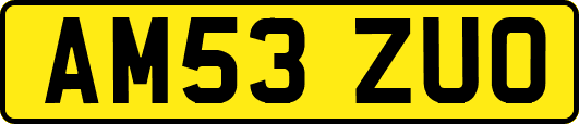 AM53ZUO
