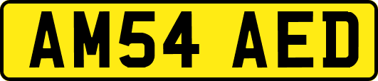 AM54AED