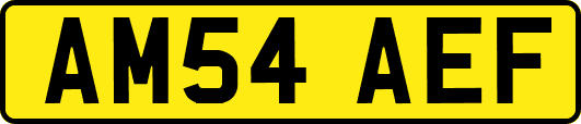 AM54AEF