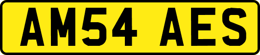 AM54AES