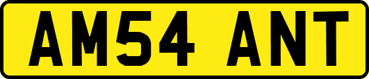 AM54ANT