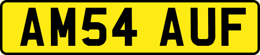 AM54AUF