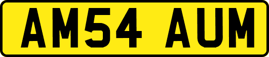 AM54AUM