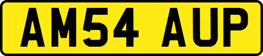 AM54AUP