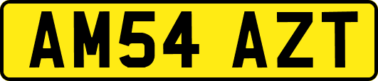 AM54AZT