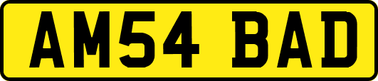 AM54BAD