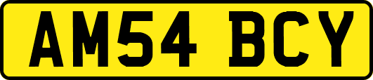 AM54BCY