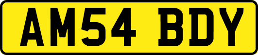 AM54BDY