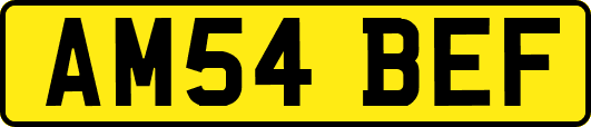 AM54BEF