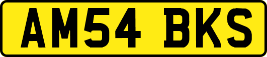 AM54BKS