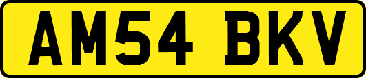 AM54BKV