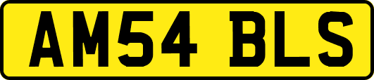 AM54BLS