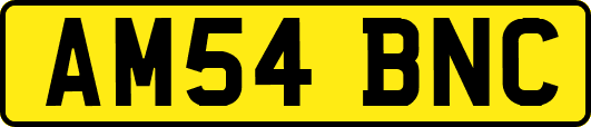 AM54BNC