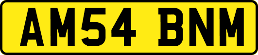 AM54BNM