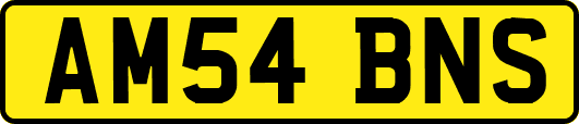 AM54BNS