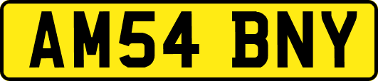 AM54BNY
